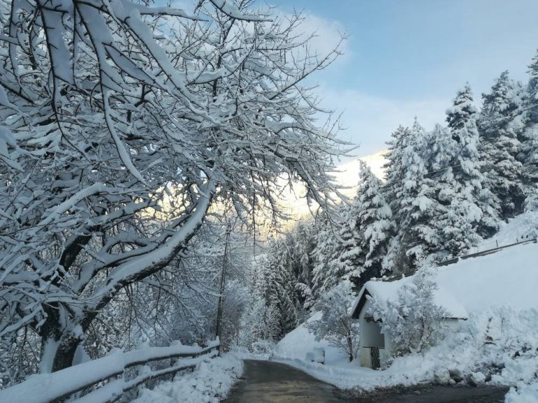 Mehr über den Artikel erfahren Winterruhe am Dietrichhof
